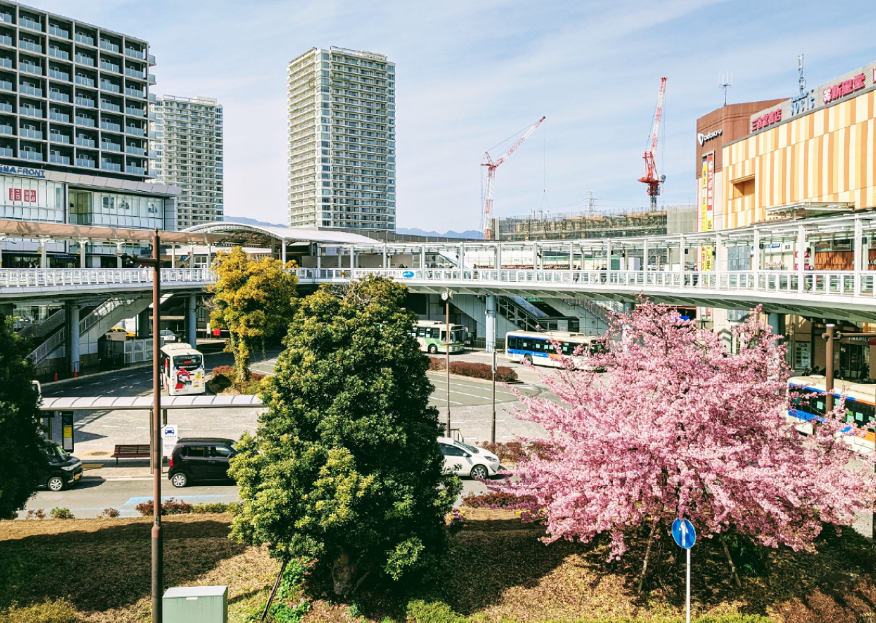 地域社会への取り組み