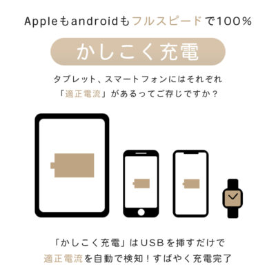 かしこく充電って？