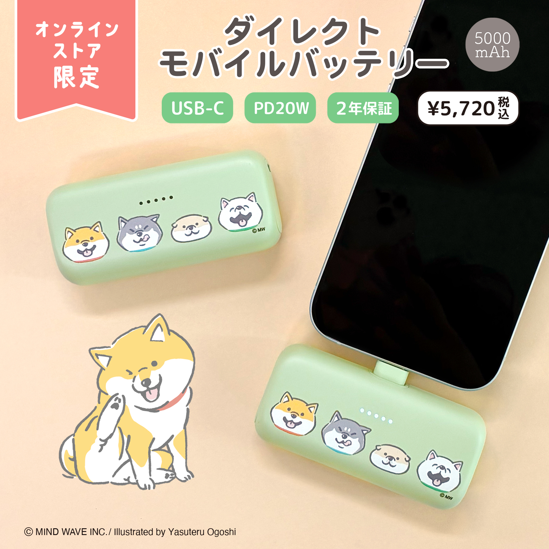 株式会社マインドウェイブ限定】ダイレクトモバイルバッテリー 5,000 