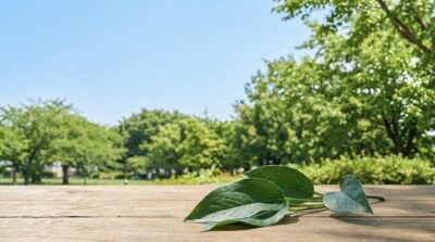 熱中症予防のためにできることは？暑い季節を快適に過ごす工夫を解説