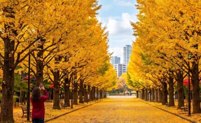 秋〜年末のイベントをもっと楽しもう!今から揃えるべき「持ち歩きガジェット」